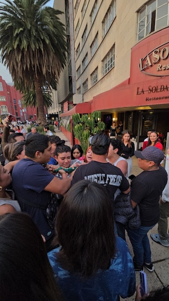 Pelea fans de Maluma por