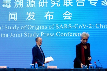 Peter Ben Embarek y Marion