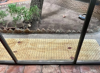Tablas con clavos en Nuevo León