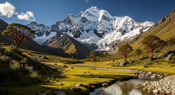 Vista panorámica del Nevado Tocllaraju cubierto de nieve, con un valle verde, un río rocoso y árboles de tronco rojizo bajo un cielo azul claro.