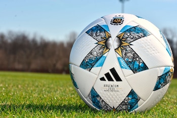 Argentum 1893, la pelota oficial