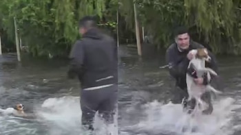 Un periodista rescató en vivo a un perro que era arrastrado por la corriente en las inundaciones de Chaco: el video
