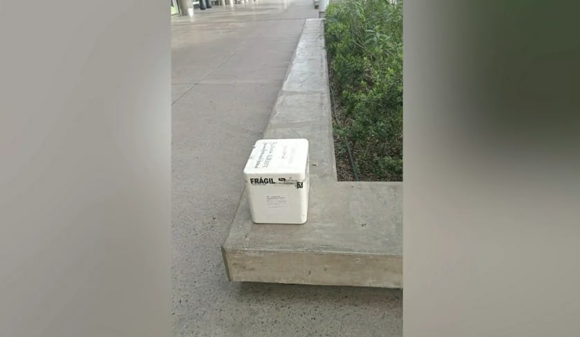 Dejó un hígado en Aeroparque, desató un operativo y terminó procesado: “Esta es la historia de un loco enamorado”