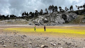 Ambientalistas y líderes regionales proponen reforestar con especies nativas, fortalecer la gestión hídrica y proteger los bosques de Guatemala.
