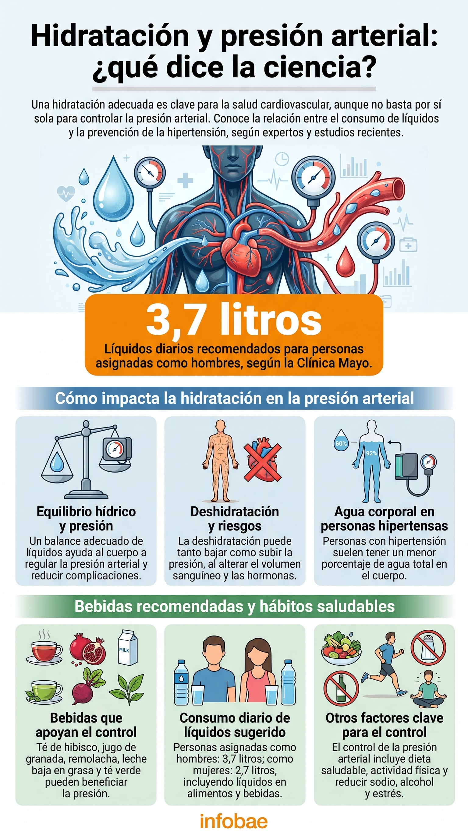 La infografía explica el impacto de la hidratación en la presión arterial y detalla las bebidas y hábitos saludables recomendados por la Clínica Mayo para su control. (Imagen Ilustrativa Infobae)