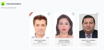 Lista de vicepresidentes en Perú 2026: estos son los acompañantes de cada candidato: Captura: ONPE.