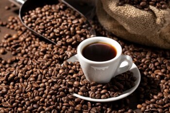 El clima cálido, la historia