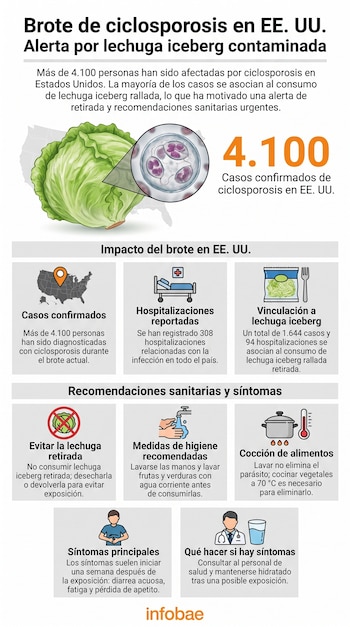 Infográficos com texto sobre surtos de ciclosporose, alface americana, pulgas, mapa dos EUA e diversos ícones e sugestões.