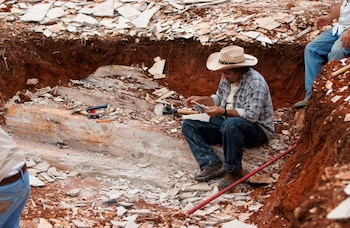 HALLAN NUEVA ESPECIE DE PEZ