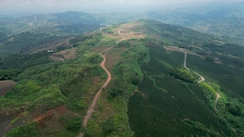 La obra Aerocafé contará con una inversión superior a $634.275 millones y un plazo de ejecución de 46 meses en Palestina - crédito Ministerio de Transporte