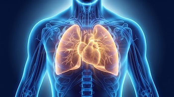Ilustración 3D de un torso humano translúcido azul con el corazón y los pulmones en tonos dorados y ambarinos que irradian luz. Un halo luminoso rodea la silueta.