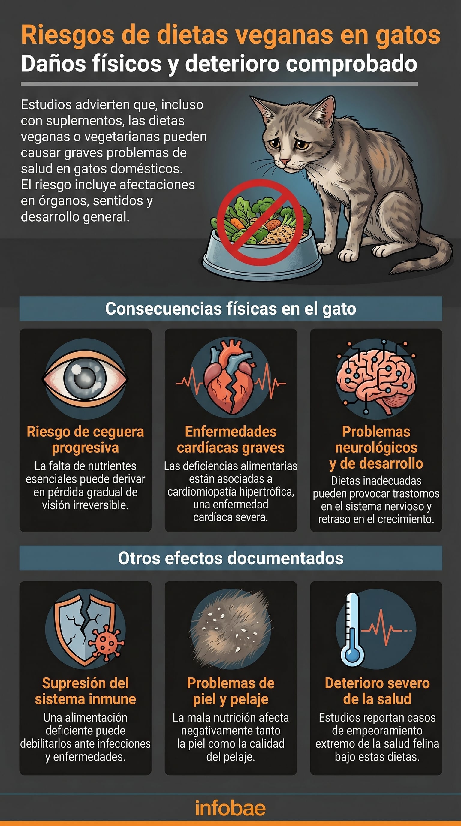 (Imagen Ilustrativa Infobae)