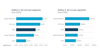 El desgloce por categoría de