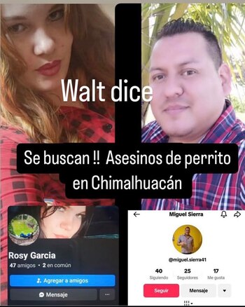 Presuntos responsables de maltrato animal