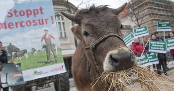 La ganadería es uno de