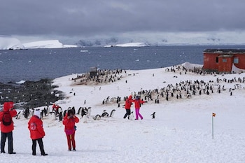 Turistas chinos, otra cara de
