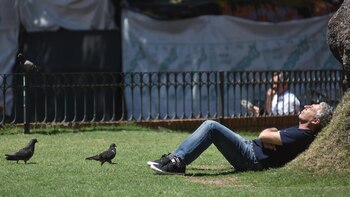 Según los datos sobre temperaturas