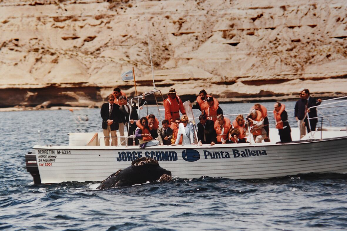 El momento del avistaje: Lady Di, apoyada en el borde de la lancha, contempló a una ballena franca que se acercó curiosa