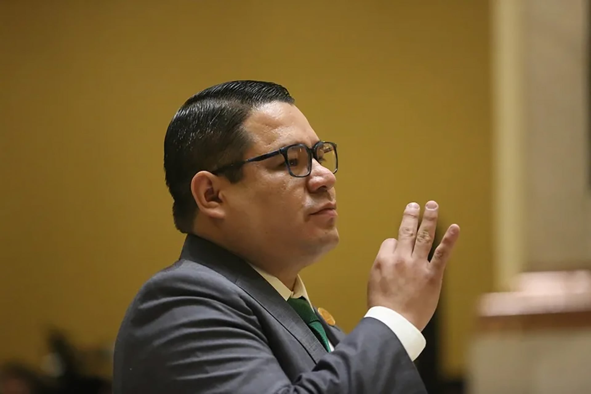 Mariaca fue elegido fiscal general del Estado en 2024 por dos tercios de la Asamblea Legislativa Plurinacional. Su mandato estaba previsto por periodo de seis años.