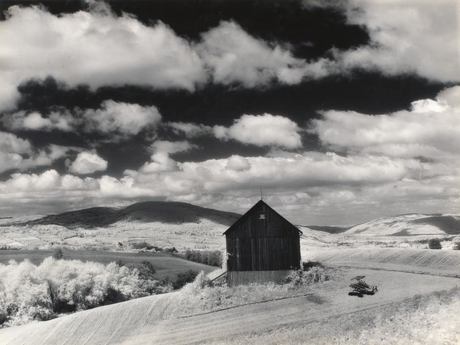 Imagen de la exposición Minor White