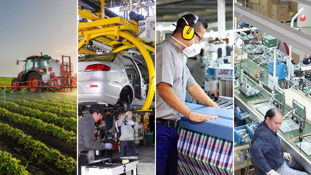 Impacto del fin del Impuesto PAIS