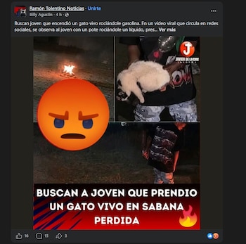 El caso desató indignación nacional y motivó reacciones de expertos que plantean nuevas preguntas sobre el vínculo entre violencia y conductas peligrosas.