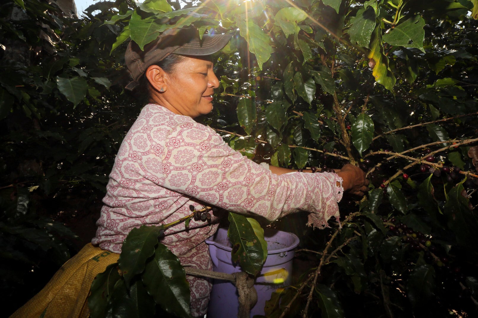 Honduras apuesta por atraer más inversión al agro con nueva estrategia para fortalecer la producción hasta 2030