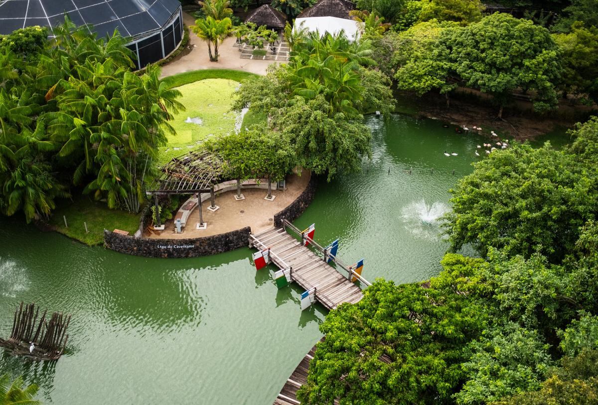 La arquitectura de Belém, con edificios como el Teatro da Paz y mansiones coloniales, narra su evolución histórica (Visit Brasil)