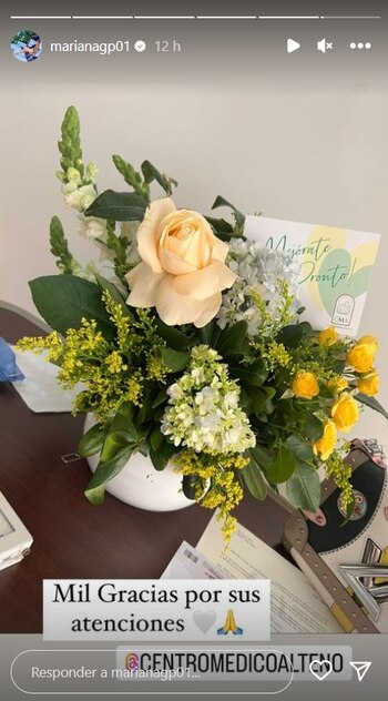 (Captura Instagram: @marianagp01)