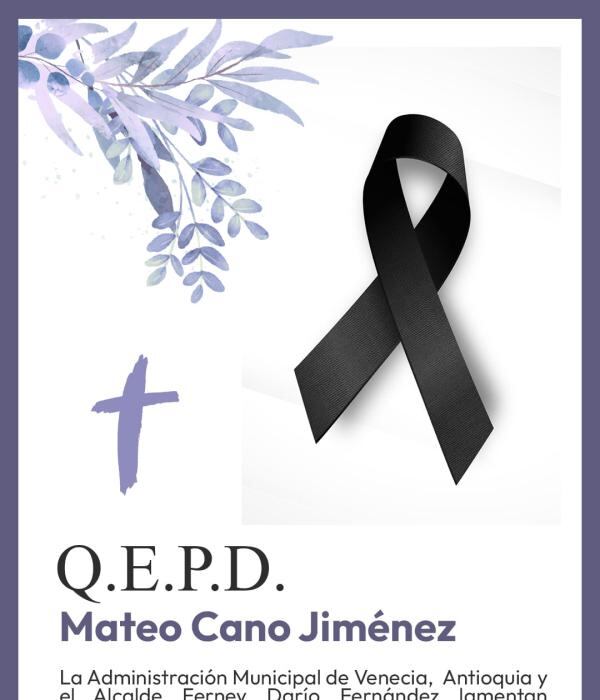 Mateo Cano Jiménez, de nueve años, fue arrollado camino a la escuela por un taxi cuyo conductor huyó tras el fatal siniestro - crédito Alcaldía de Venecia, Antioquia