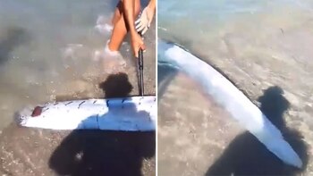 No existen pruebas científicas que