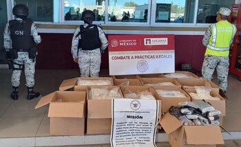 entre las drogas aseguradas hay