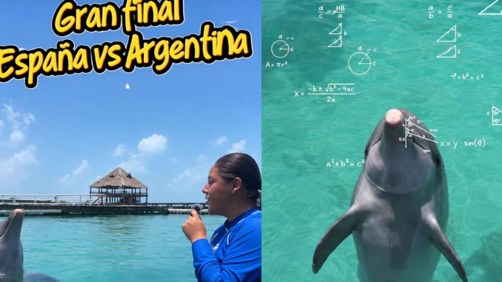 ¿España o Argentina? Hidalgo, el famoso delfín mexicano, ya tiene su favorito para ganar el Mundial 2026