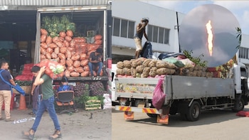 ¿Habrá desabastecimiento de alimentos en