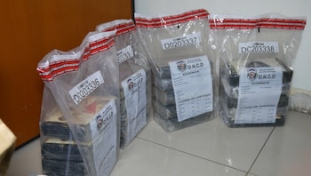 El Instituto Nacional de Ciencias Forenses determinará la composición química, la pureza y el peso definitivo de la sustancia incautada. (Cortesía: Dirección Nacional de Control de Drogas)