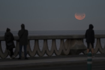 A Coruña
Eclipse de luna
19/11/2021
Foto: M. Dylan / Europa Press