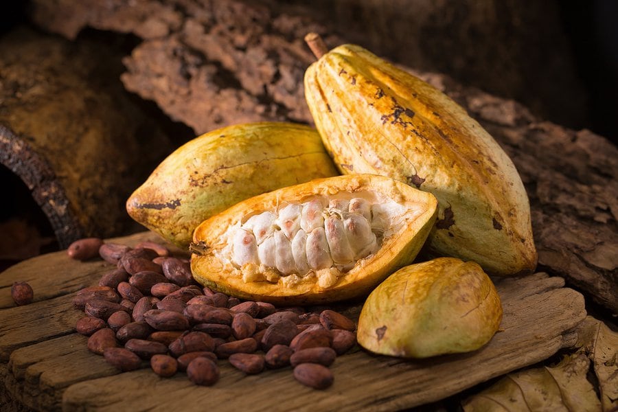 El crecimiento porcentual más destacado corresponde a la manteca de cacao de acidez superior, con un aumento del 96,3% en sus exportaciones.