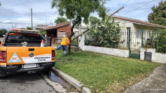 Foto: Ahora Mar del Plata