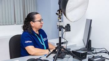 Disposición que amplía plazo para