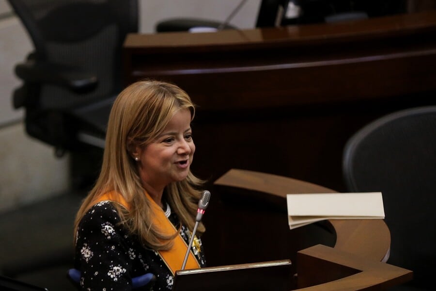 Noguera frena expectativas: peajes no bajarían sin estudios y sin proteger las vías