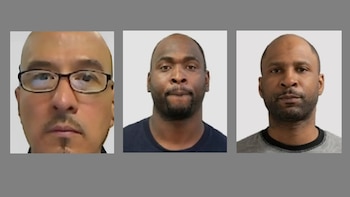 Três tipos de retratos masculinos. Um homem com cabeça raspada, óculos e barba. Um homem com cabeça raspada e barba. Um homem com cabeça raspada e barba rala