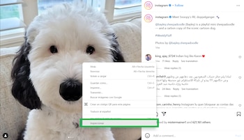 Primer paso para descargar una