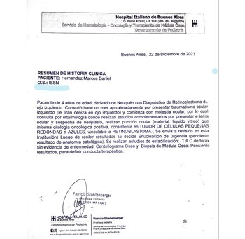 El resumen del historial médico