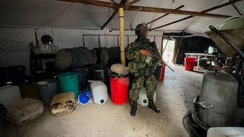 Fuerzas Militares hallaron complejo cocalero de los Comuneros del Sur en Nariño, con apoyo del FBI: la droga estaba escondida en piscinas subterráneas