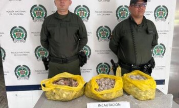Interceptan 9.000 gramos de camarón