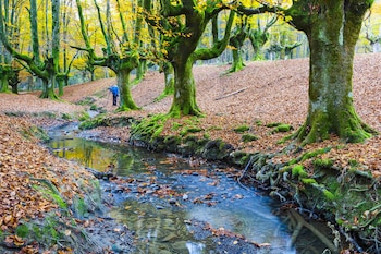 Un breve sendero permite adentrarse