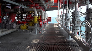 Actualmente la plataforma se encuentra