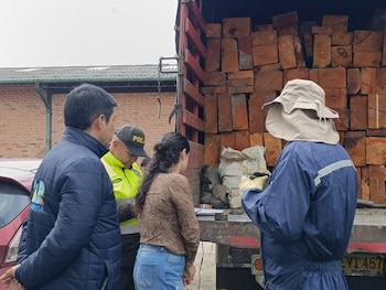 Operativo contra el tráfico ilegal de madera en Ubaté, Cundinamarca - crédito CAR