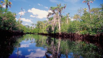 Reserva Apalachicola Bluffs Ravines, en