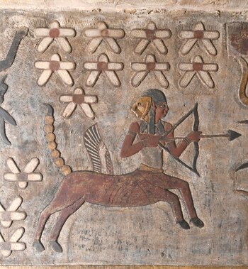 Descubierto por primera vez la